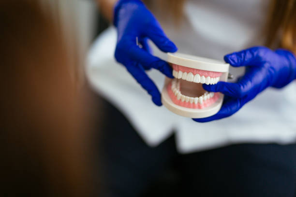 Best Veneers and Lumineers  in Northampton, MA